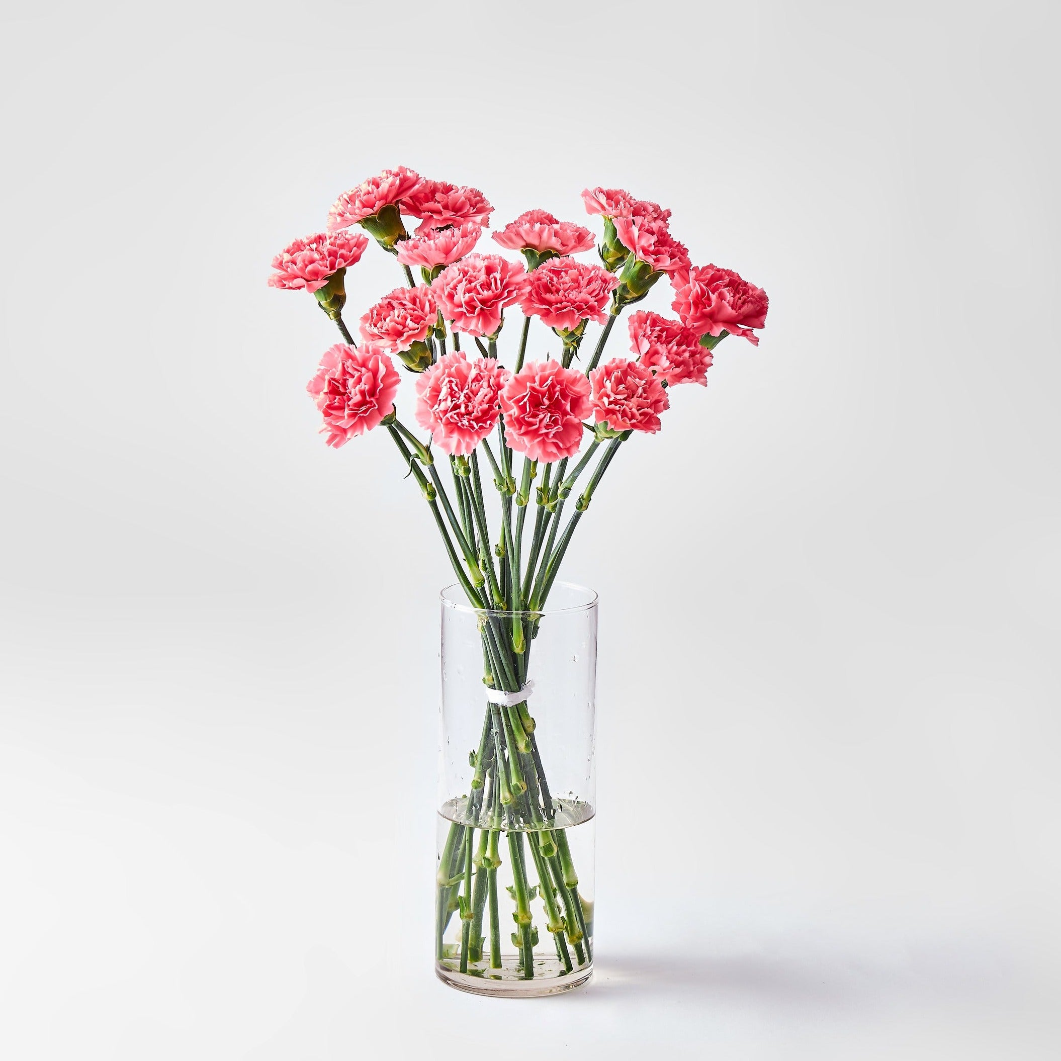 ピュアフラワー　ReーＭＥＮＴ　Pure Flower　未開封１１種セット！ ピュアフラワー ReーMENT Pure Flower 未開封11種セット