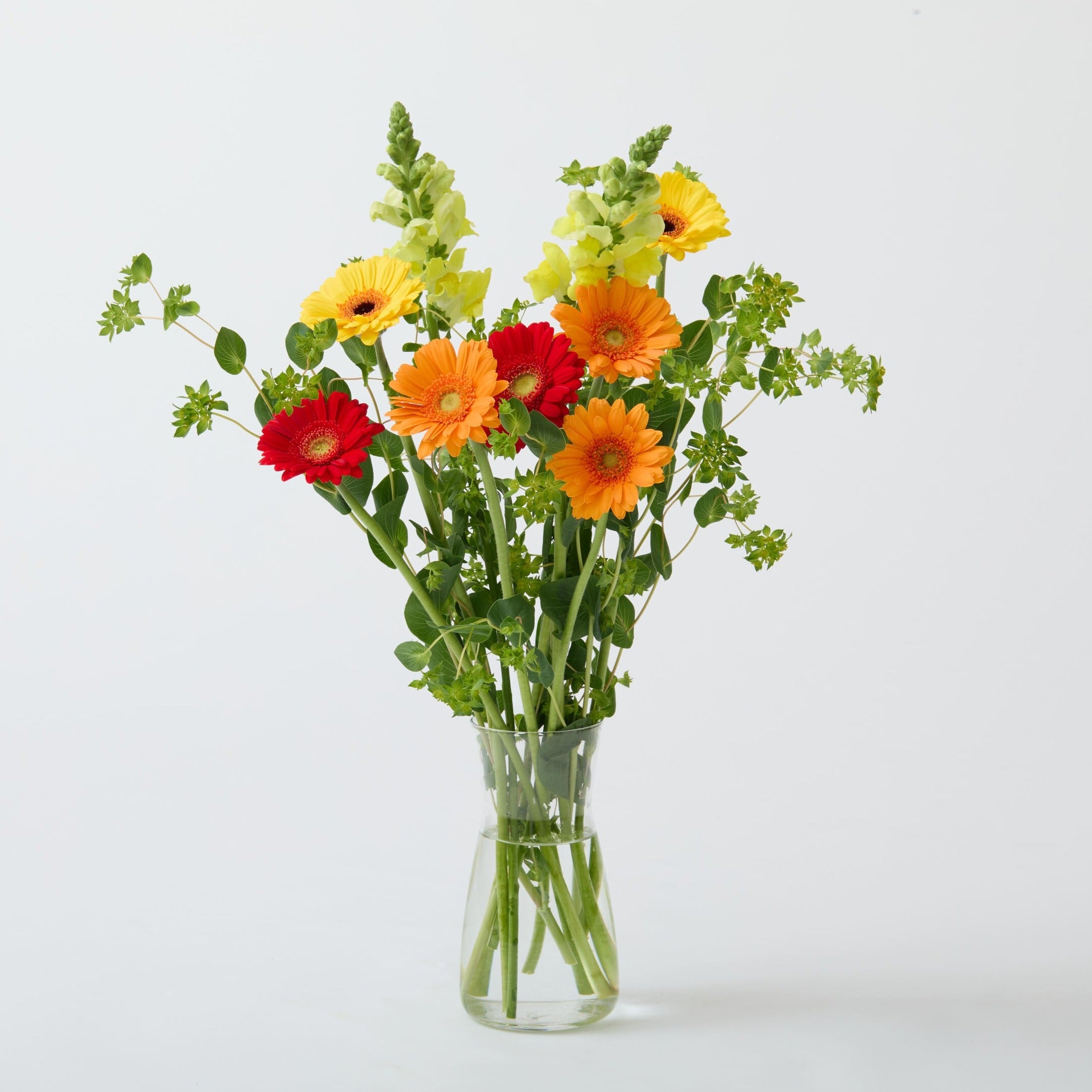 ピュアフラワー　ReーＭＥＮＴ　Pure Flower　未開封１１種セット！ ピュアフラワー ReーMENT Pure Flower 未開封11種セット
