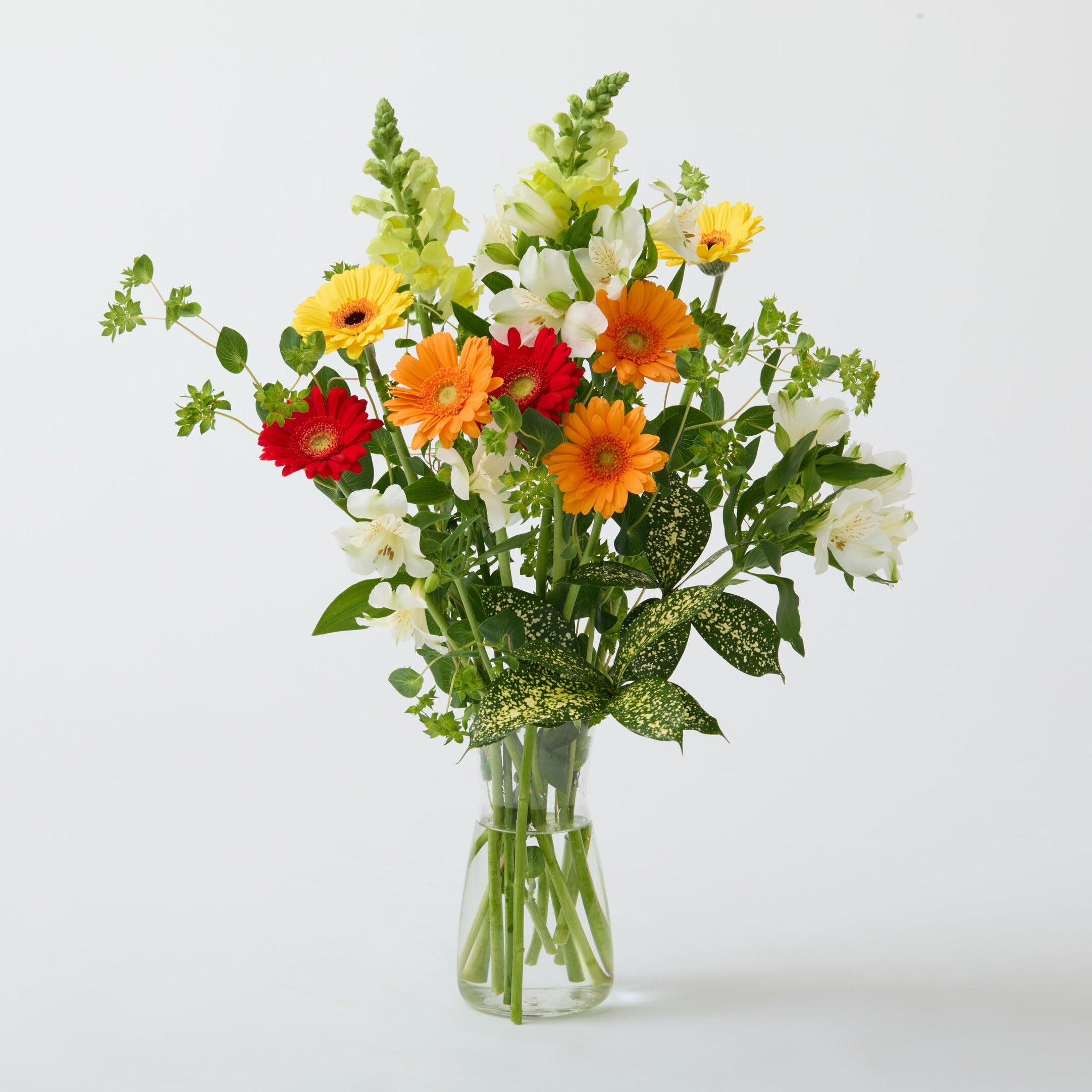 ピュアフラワー神奈川店・西東京店オンラインショップ